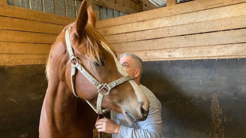 Affectionate Nuzzling
