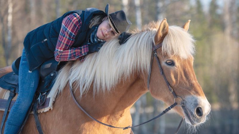 Older Horses Are Always Safe Choices