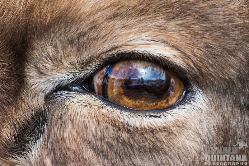 Remarkable Vision