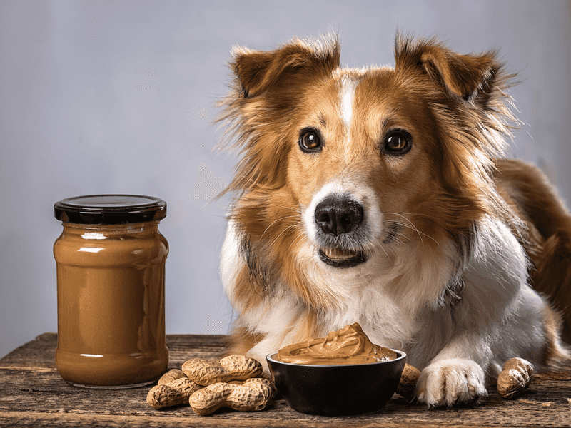 Peanut Butter (Unsweetened, No Xylitol)