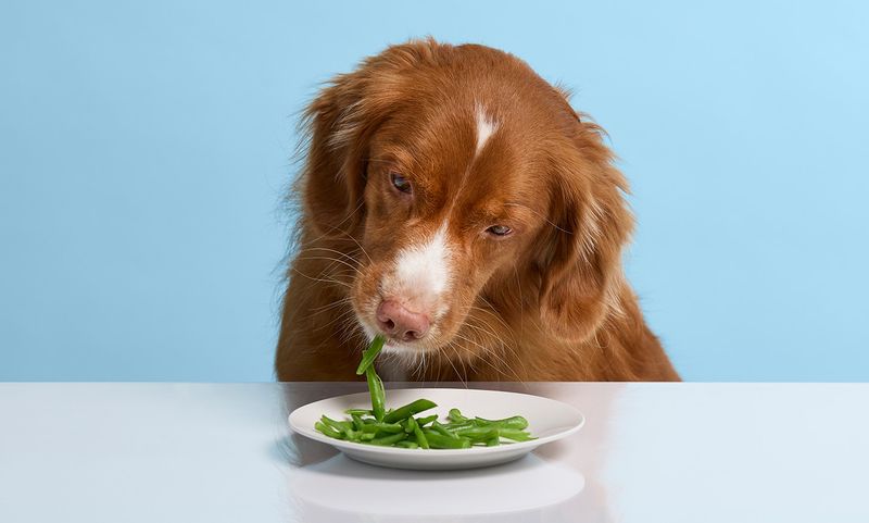 Green Beans