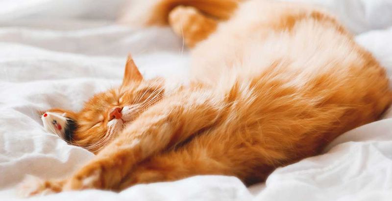 Sleep Position Speaks Volumes