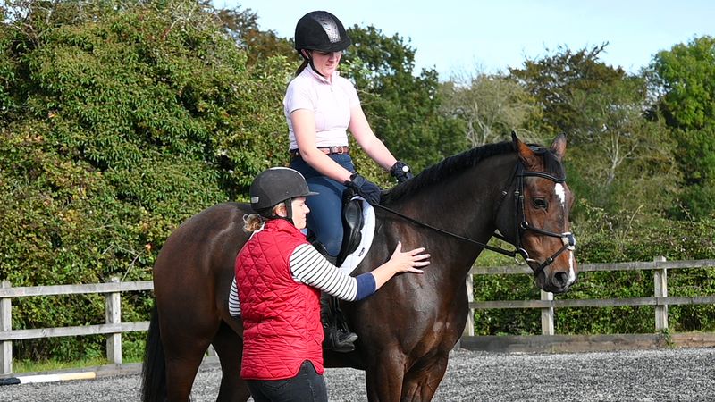 Anyone Can Ride Without Lessons