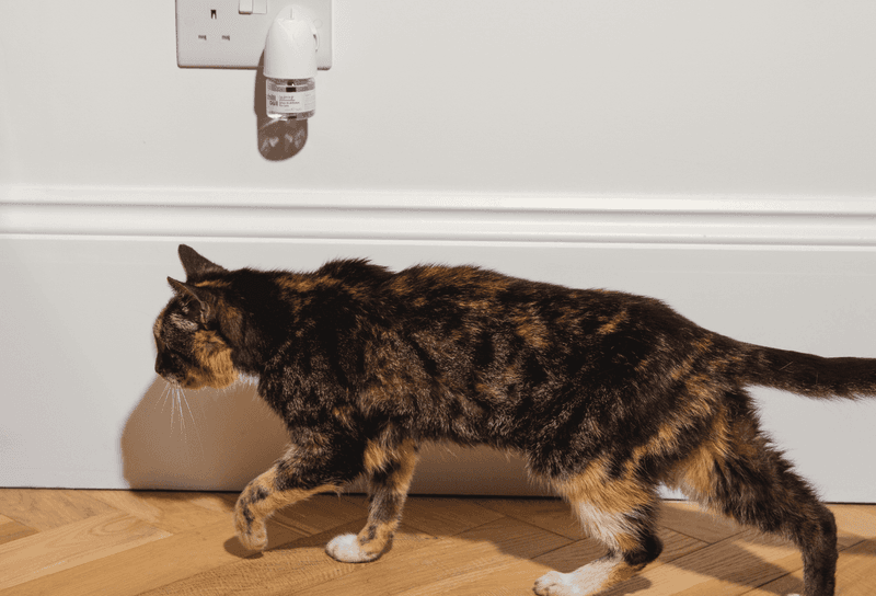 Scent Diffusers