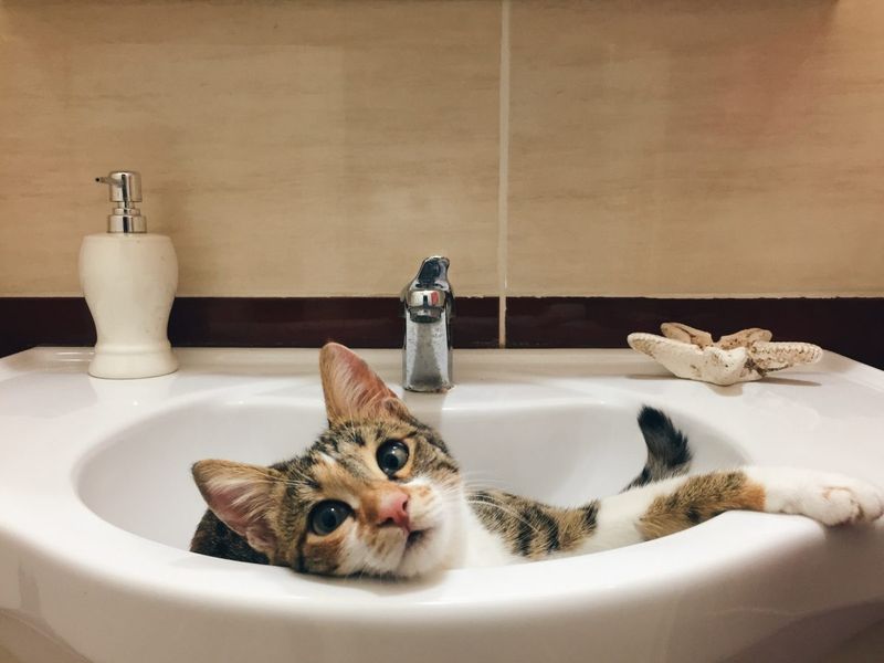 Following You To The Bathroom