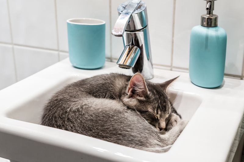 Sleeping In Weird Places