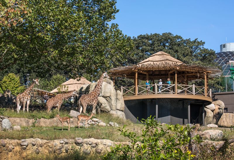 Omaha's Henry Doorly Zoo and Aquarium