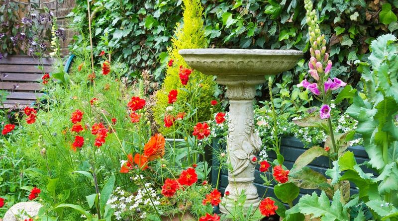 Build A Bird Sanctuary