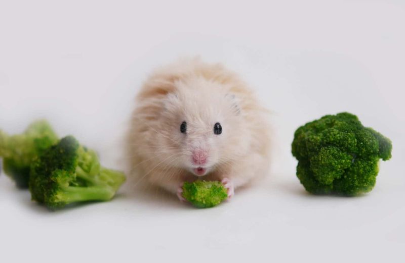 Broccoli Bits