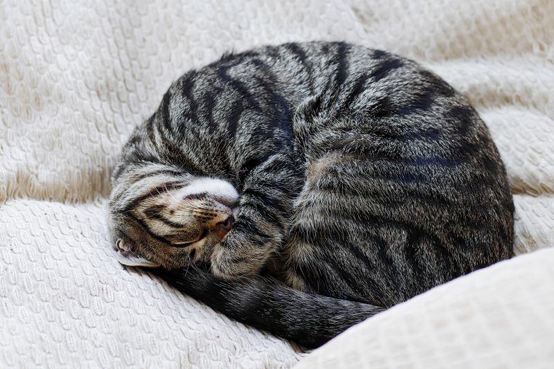 Increased Sleep