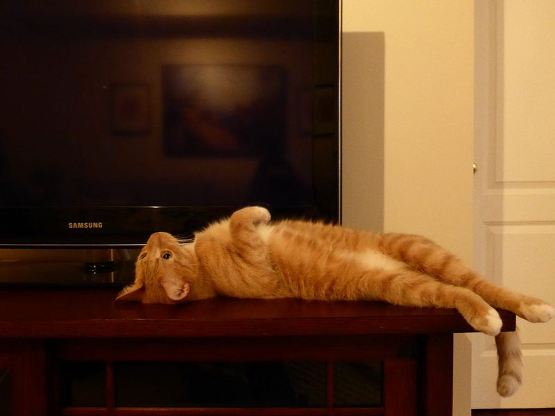 Background Television