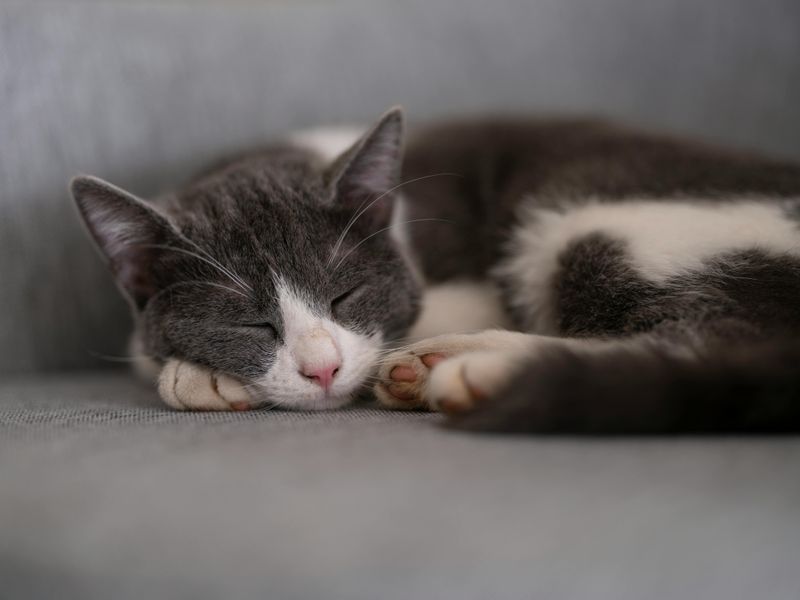 Lethargy