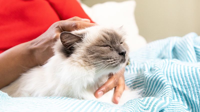 Comforting Massages