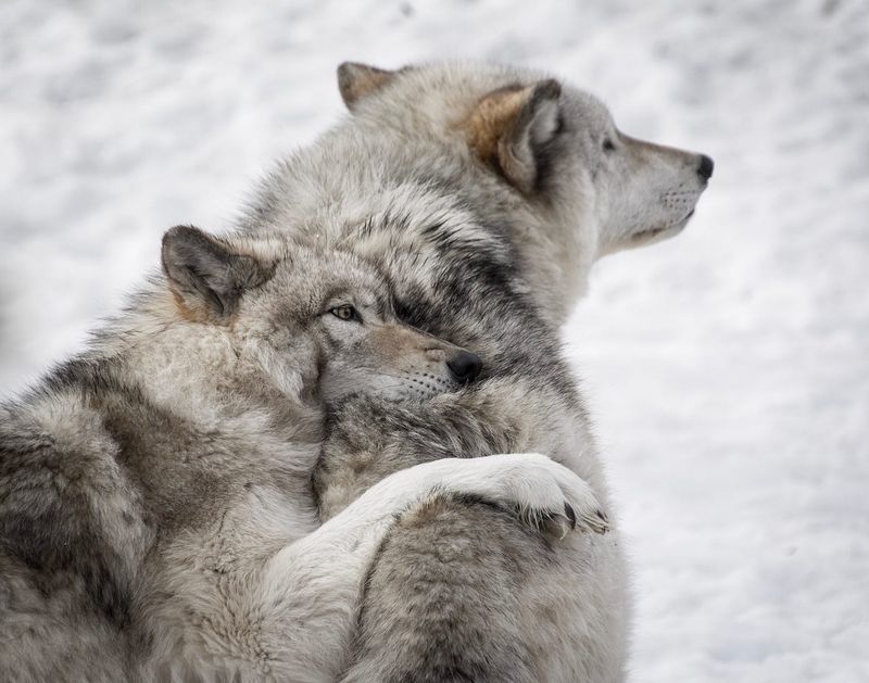 Strong Family Bonds
