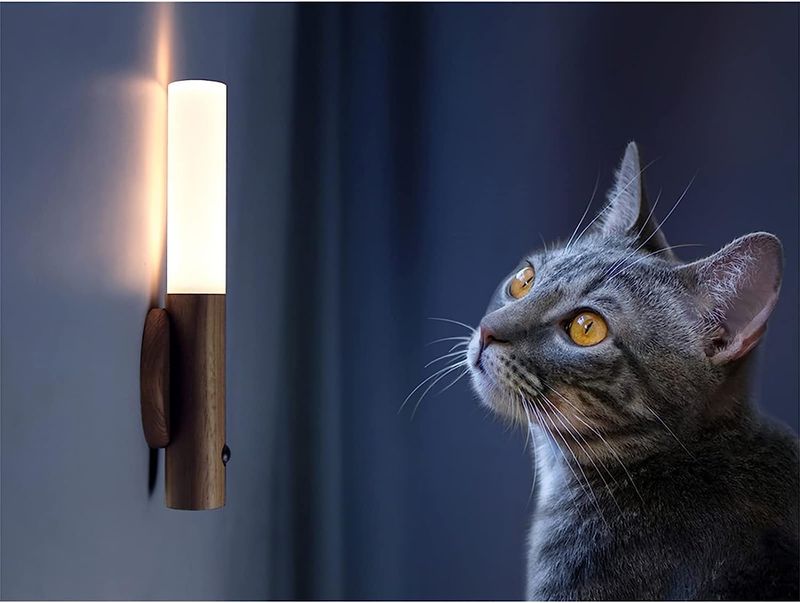 Install Nightlights For Evening Confidence