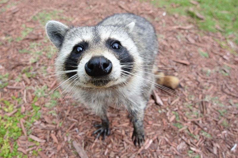 Curious And Intelligent