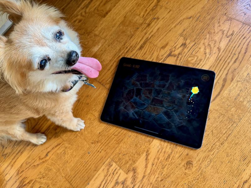 Interactive TV And Apps