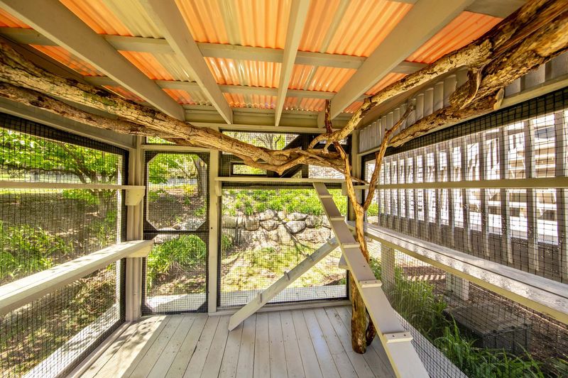 Create Shade And Rain Protection