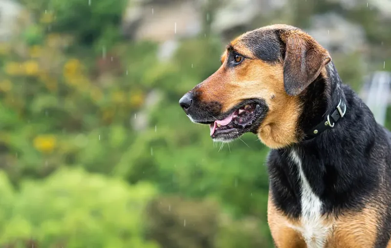Sensing Weather Changes