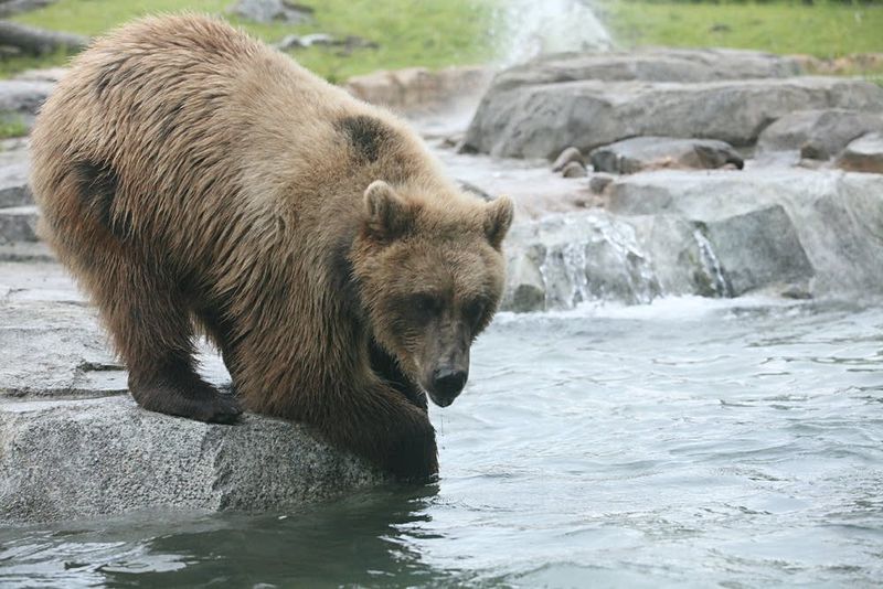 Minnesota Zoo