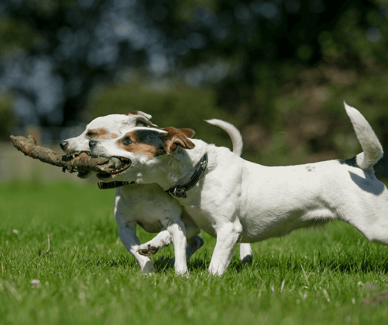Teamwork And Bonding