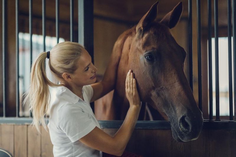 Horses: Intuitive Companions