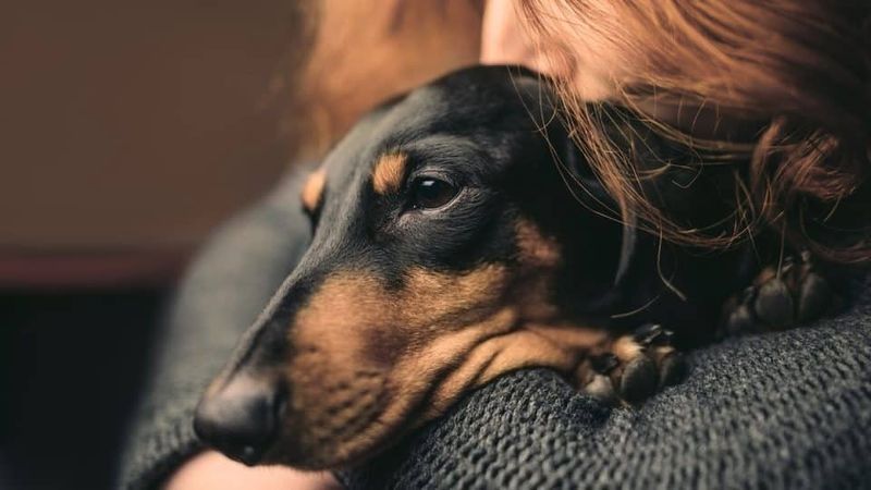 Deeper Emotional Bonds