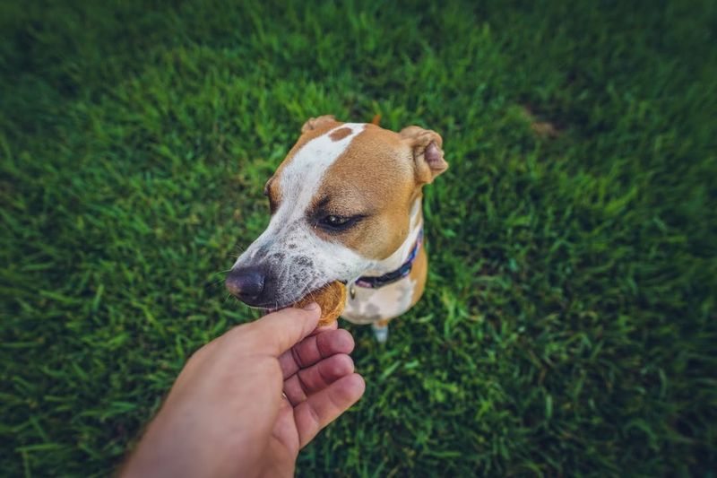 Gently Biting Or Nibbling