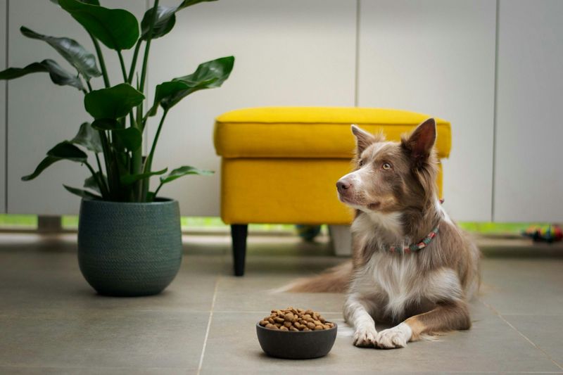 Create A Designated Spot During Meals