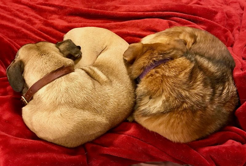 A Full House Of Love