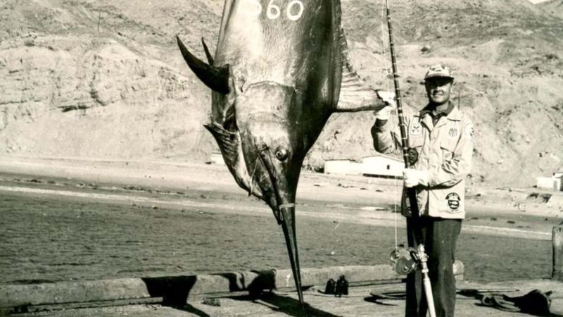 The Monster Marlin Of Cabo Blanco