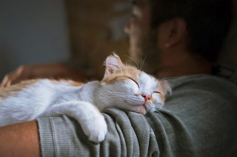 Midnight Face Snuggles