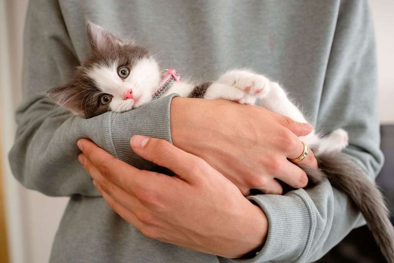 Start With Gentle Paw Handling