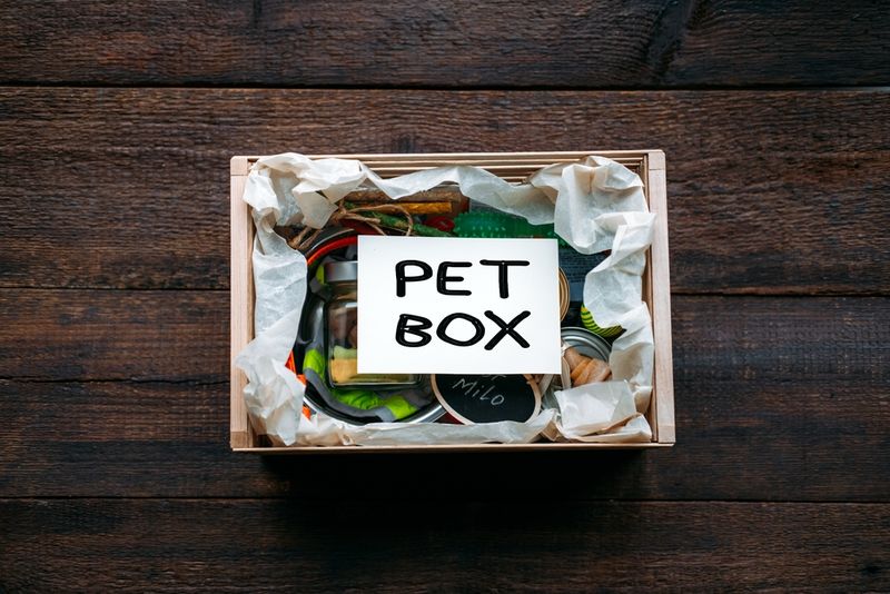Pet Subscription Boxes