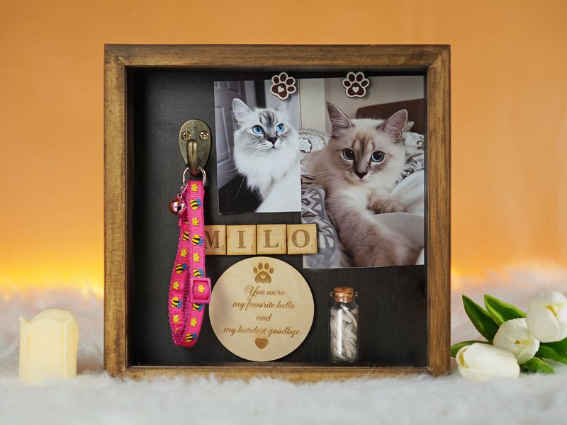 Creating A Memory Box
