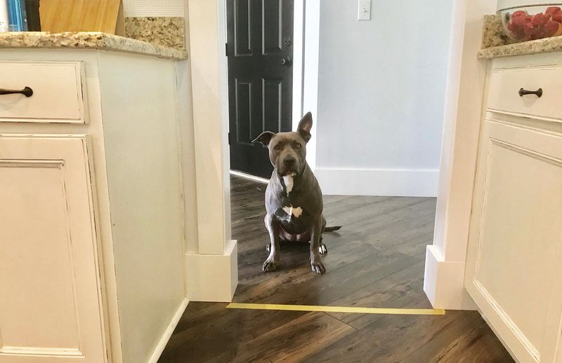 Inconsistent Rules And Boundaries