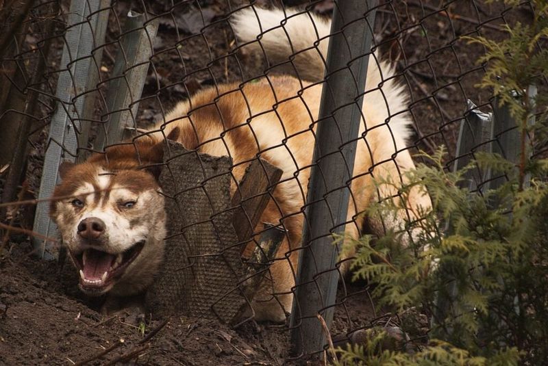 Escaping Confinement