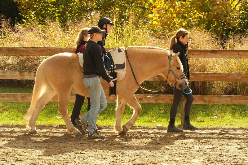 You Need To Be Rich To Ride Horses
