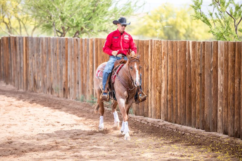 Pulling The Reins Makes Horses Stop