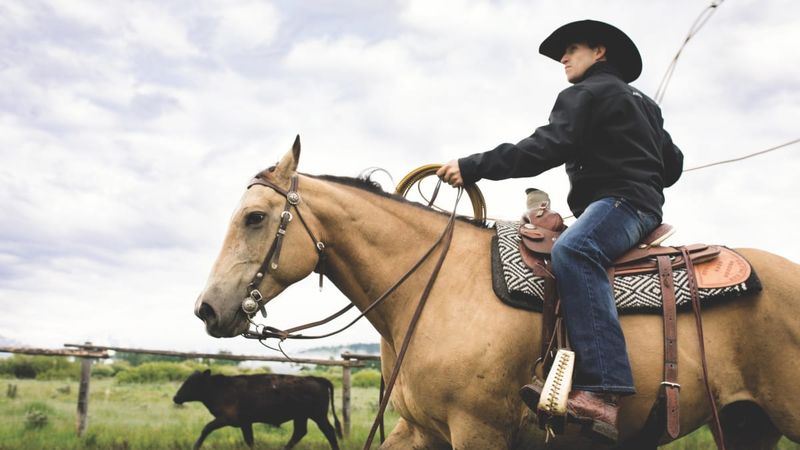 Horse Riding Is Only For Girls