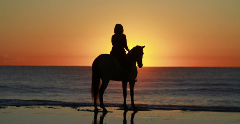 How Horses Are Being Used To Help Treat Anxiety In Teens
