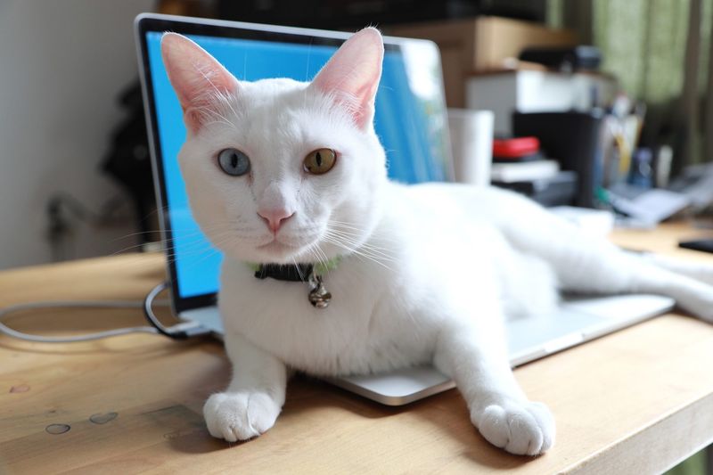 Sitting On Your Stuff