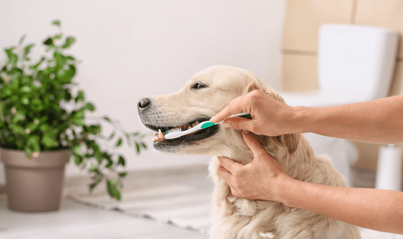 Avoiding Expensive Treatments