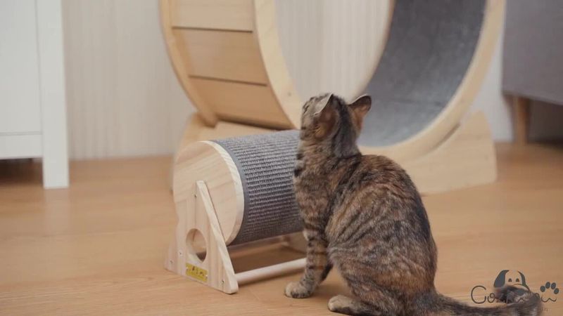 Provide Scratching Surfaces