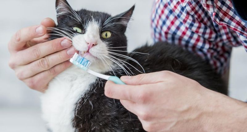 Overlooking Dental Care