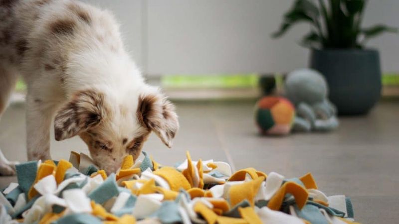 Snuffle Mats