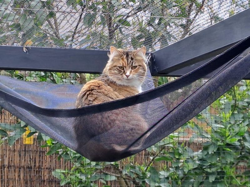 Add Comfortable Lounging Spots