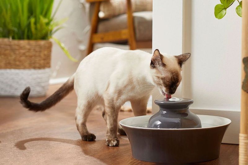 Include Fresh Water Sources