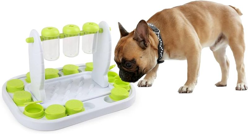Interactive Puzzle Toys