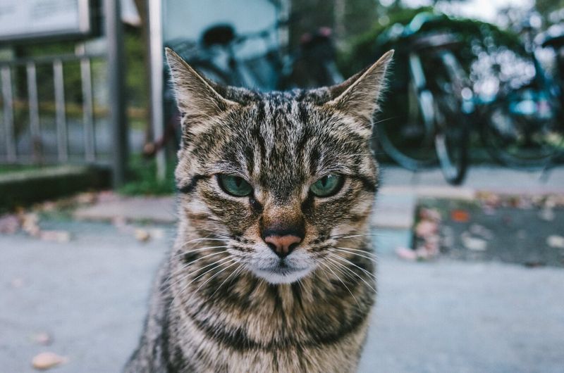 Ignoring When Called
